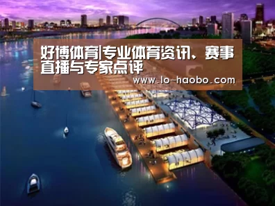 案例展示八