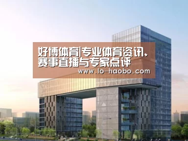 案例展示四
