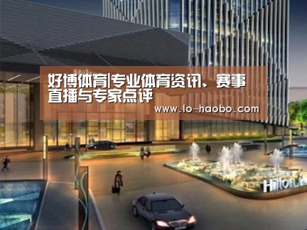 案例展示二