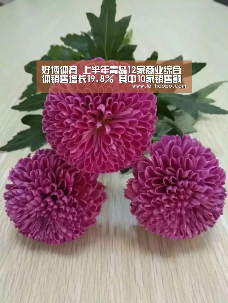 好博体育_上半年青岛12家商业综合体销售增长19.8% 其中10家销售额超亿元(图1) 好博体育官网