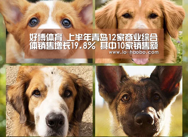 好博体育_上半年青岛12家商业综合体销售增长19.8% 其中10家销售额超亿元(图3) 好博体育平台